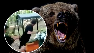Un urs a pus pe fuga un cortegiu funerar in Mures Speriati de animal oamenii au inceput sa urle Video