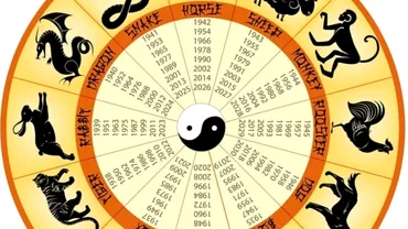 Zodiac chinezesc pentru marti 30 noiembrie 2021 Bivolii si Sobolanii reusesc in afaceri