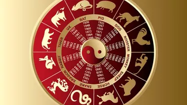 Zodiac chinezesc pentru miercuri 22 iunie 2022 Maimuta are o mie de ganduri