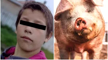 Un baiat de 14 ani a murit la taierea porcului Copilul a fost injunghiat mortal de tatal sau
