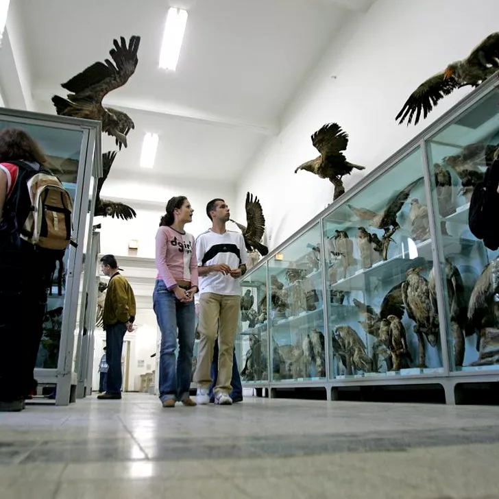 Muzeul Antipa va fi închis doar pe perioada zilei