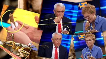 Video Moment unic la Etno TV Dana Chera si Petre Daea sau ospatat cu greieri noul aliment aprobat de UE