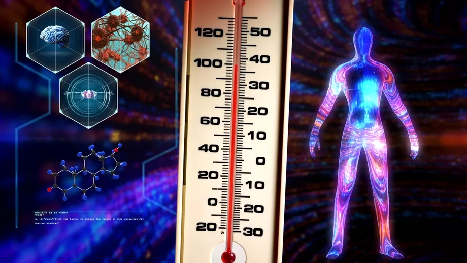 Intoleranta la caldura simptome si tratament Ce temperatura maxima poate suporta corpul uman