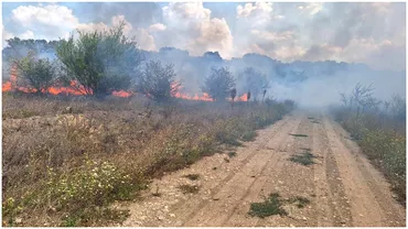 Video Incendiu puternic de vegetatie in Bucuresti Focul sa propagat la o casa Update
