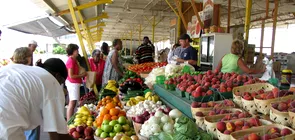 Romania alimente mai scumpe in comparatie cu Bulgaria si Ungaria Diferente mari la rosii si cartofi