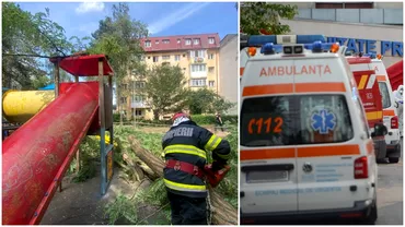 Copil de 10 ani accidentat la un loc de joaca din Suceava Un copac sa prabusit peste el