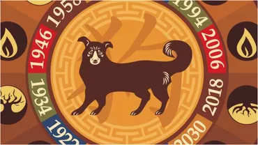 Zodiacul chinezesc pentru marti 21 iunie 2022 Surpriza pentru nativul Caine