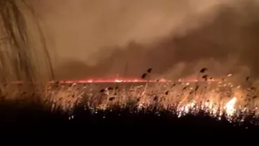 Incendiu de proportii in Delta Dunarii Peste 20 de hectare de vegetatie ard sub ochii pompierilor