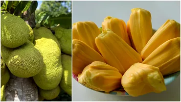 Cat costa un kilogram de Jackfruit fructul care lea dat batai de cap concurentilor de la America Express Suma este uriasa