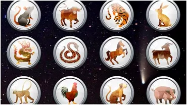 Zodiac chinezesc pentru vineri 8 iulie 2022 Capra are multe de imbunatatit