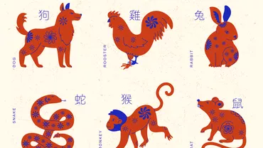 Zodiac chinezesc pentru sambata 6 mai 2023 Tigrul nu sta bine cu banii