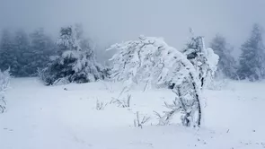 Romania cuprinsa de un val de ger Codul galben de ninsori si viscol a fost prelungit