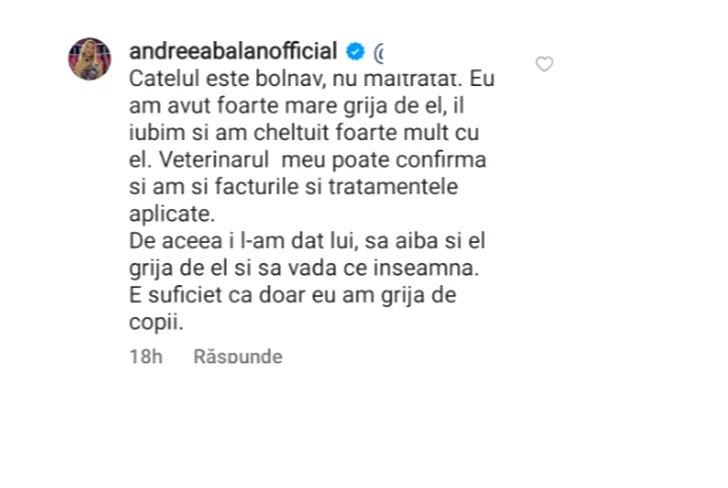 Ce a spus Andreea Bălan