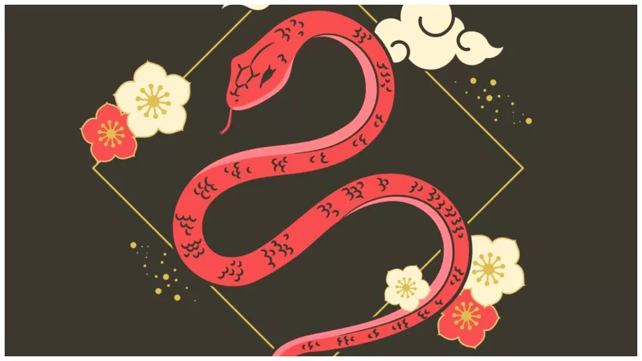 Zodiac chinezesc pentru marti 6 decembrie 2022 Sarpele are o victorie