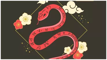 Zodiac chinezesc pentru miercuri 19 iulie 2023 Sarpele poate avea ceva de castigat