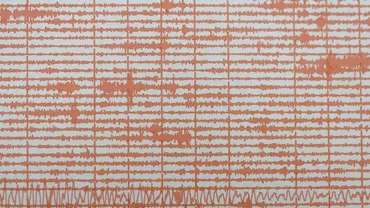 Cutremur in Romania vineri 10 noiembrie 2023 Seism la mica adancime in Gorj