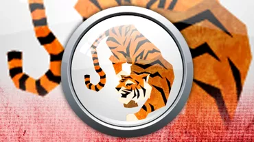 Zodiac chinezesc pentru marti 27 septembrie 2022 Tigrul invata sa se bucure de viata