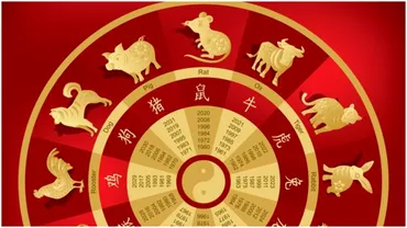 Zodiac chinezesc pentru miercuri 5 aprilie 2023 Nativul Maimuta invata ceva nou
