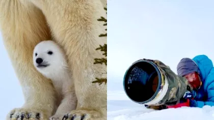 Imagini senzaționale cu o familie de urși polari. Un fotograf a îndurat temperaturi...