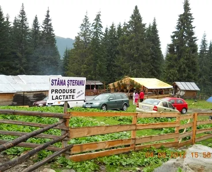 Stâna Ștefanu (sursa facebook.com)