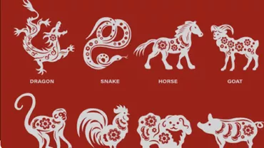 Zodiac chinezesc pentru vineri 18 august 2023 Sarpele va fi ironizat Cainele are parte de un miracol