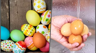 De ce ouale nu trebuie spalate niciodata Sfaturi utile pentru a le putea pastra in siguranta