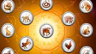 Zodiac chinezesc pentru saptamana 17 ianuarie 2024 Maimutele renasc din propria cenusa
