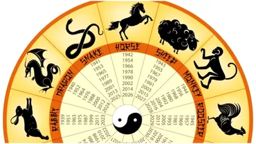 Zodiac chinezesc pentru sambata 28 octombrie 2023 Maimuta ia o decizie radicala