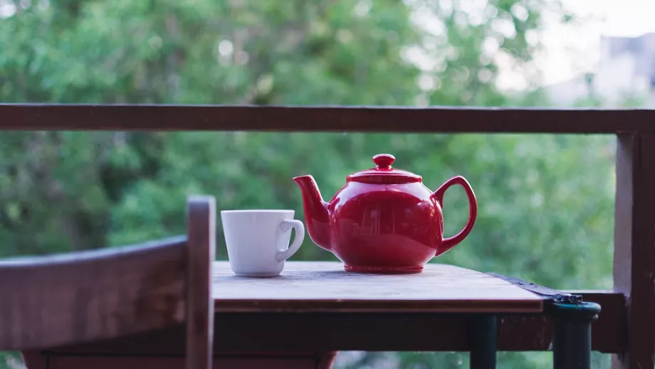 Ceaiul banal care incetineste imbatranirea Are efecte miraculoase pentru organism si este extrem de ieftin