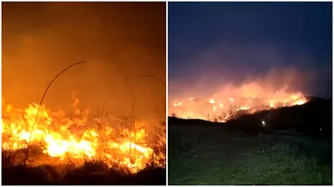 Incendiile de vegetatie uscata se extind in Romania Ce amenzi risca cei care pun foc Video