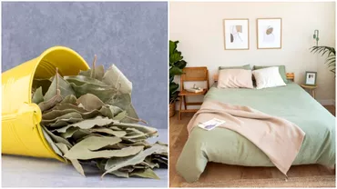 De ce e bine sa aprinzi cateva frunze de dafin in dormitor Trucul care te ajuta sa scapi de o mare problema