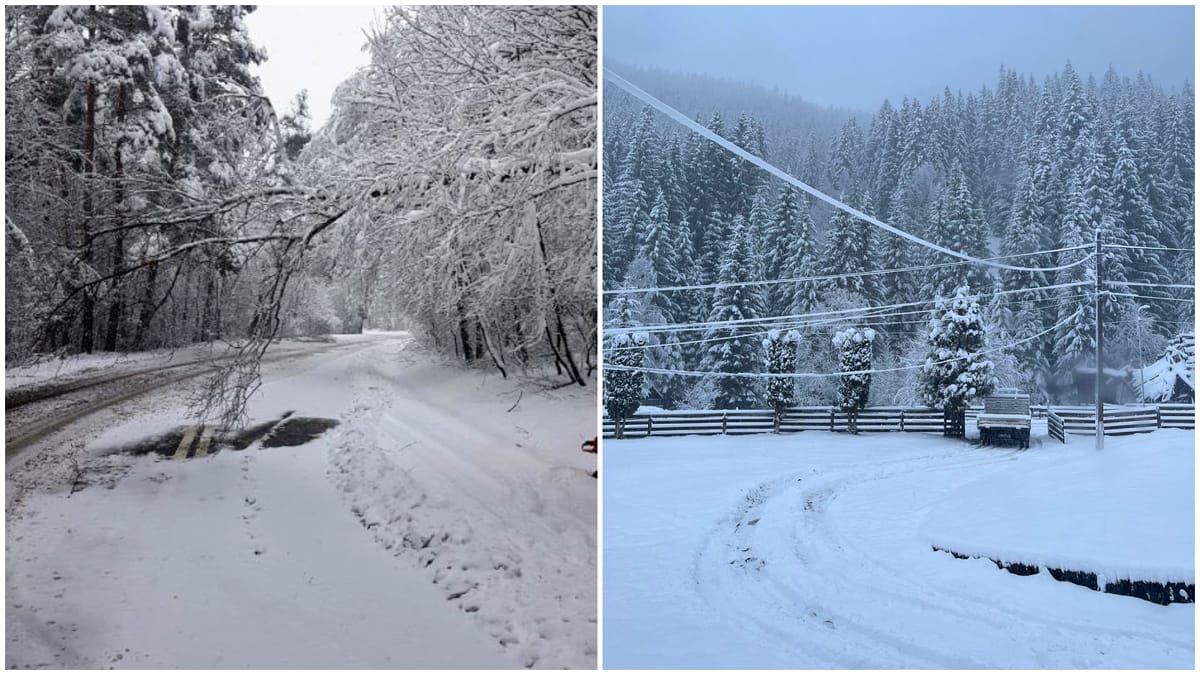 Ninsori abundente în centrul României: copaci doborâți de zăpadă și drumuri blocate. Video