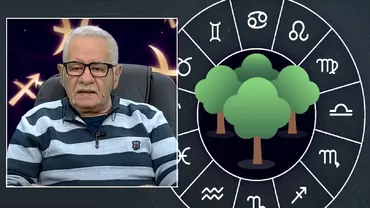 Ce zodie esti in horoscopul arboricol Mihai Voropchievici dezvaluie trasaturile celor protejati de copacii magici