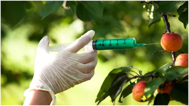 Cum poti sa stai departe de pesticidele de pe alimente Metoda prin care consumi mai putine substante chimice toxice