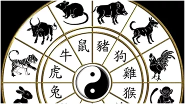 Zodiac chinezesc pentru vineri 10 noiembrie 2023 Cainele intra intro situatie neasteptata