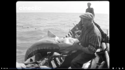 Legende pescărești cu monștri marini pescuiți la Sfântu Gheorghe: „A prins un morun...