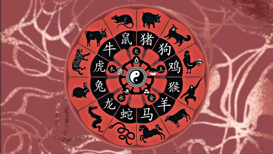 Zodiac chinezesc sambata 5 iunie 2021 Probleme in cuplu pentru nativul Cocos
