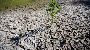 Se intampla in Romania Apa se rationalizeaza din cauza secetei Efecte devastatoare ale caniculei