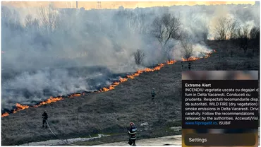 Incendiul violent din Delta Vacaresti a fost localizat Au fost afectate peste 6 hectare Update