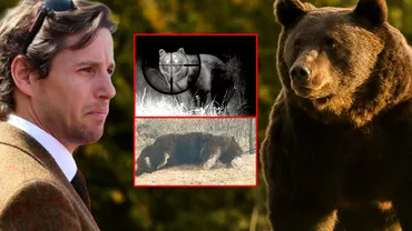 Cum a fost împușcat Arthur, cel mai mare urs din România! Detalii neştiute despre partida de vânătoare