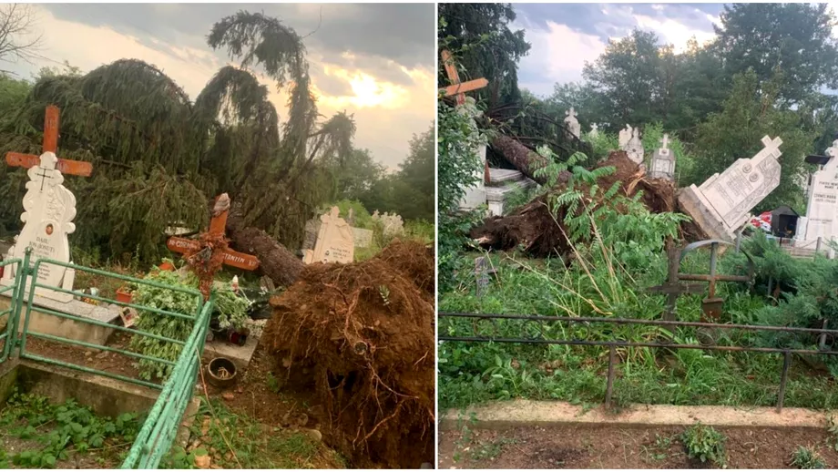 Cimitir din Gorj afectat de o furtuna violenta Morminte scoase din pamant cruci rupte si copaci smulsi Foto
