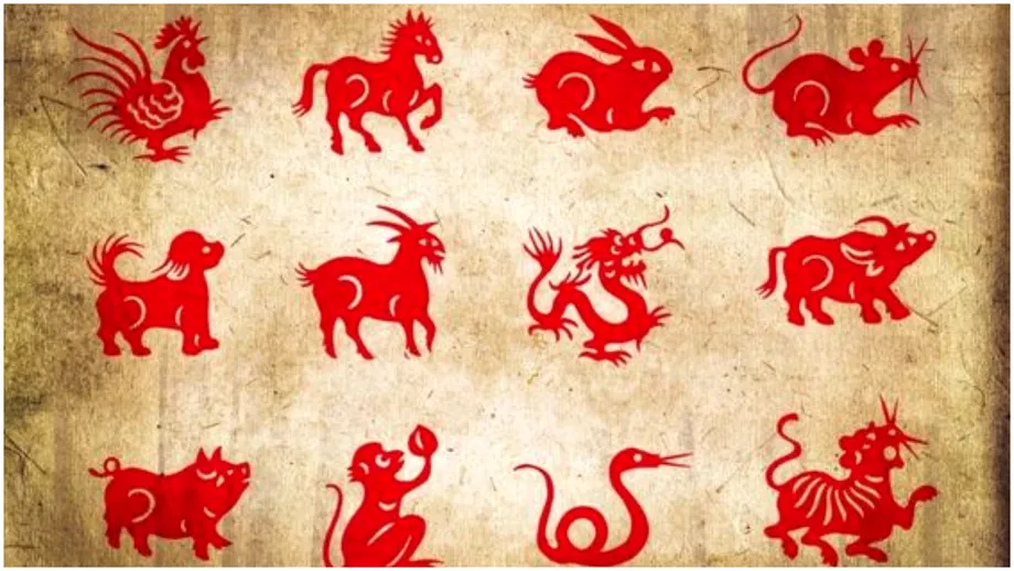 Zodiac chinezesc pentru duminica 14 ianuarie 2024 Suisuri si coborasuri pentru Cal