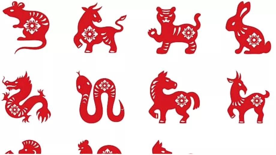 Zodiac chinezesc pentru 15 decembrie Dragonul simte presiuni de la job