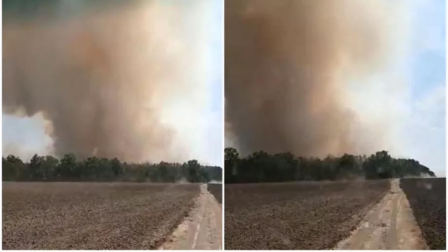Video Incendiu puternic in Vrancea 40 de hectare de padure au luat foc