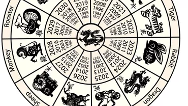 Zodiac chinezesc pentru weekendul 10  11 iulie 2021 Maimuta are succes in tot ce isi propune