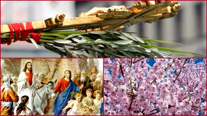 Traditii si obiceiuri de Florii Ce este interzis sa faci in Duminica Floriilor