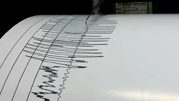 Cutremur in zona Vrancea Ce magnitudine a avut seismul