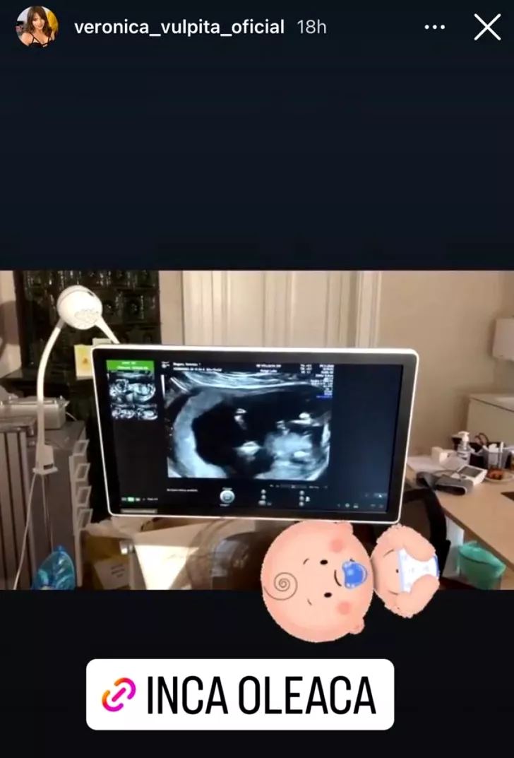 Vulpița de la Acces Direct, însărcinată pentru a treia oară. Sursă foto: Instagram 