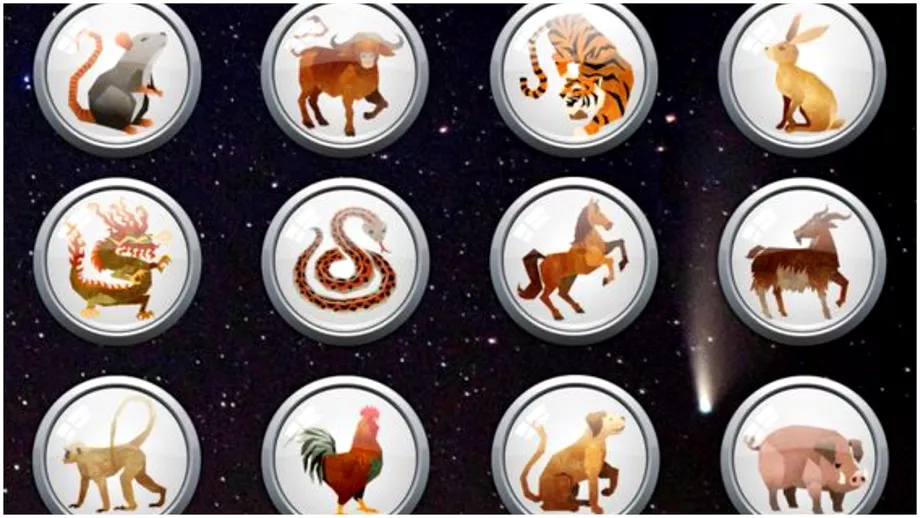 Zodiac chinezesc pentru vineri 8 iulie 2022 Capra are multe de imbunatatit
