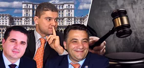 Lista infractorilor din Parlamentul Romaniei Cele mai ciudate si ridicole fapte penale comise de deputati si senatori